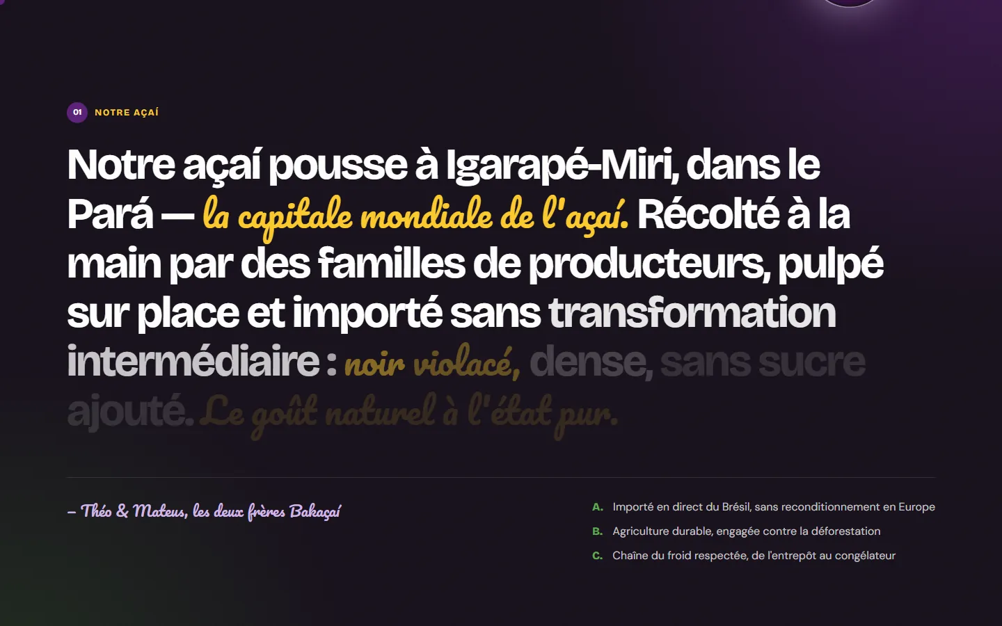 L'histoire de l'açaí de Bakaçaí